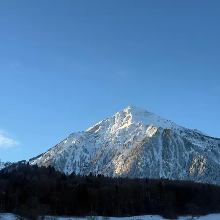 Winterzeit Near Interlaken Thun Spiez Kandersteg Apartament *