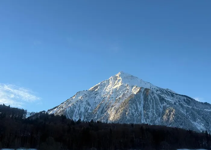 Winterzeit Near Interlaken Thun Spiez Kandersteg Apartament *